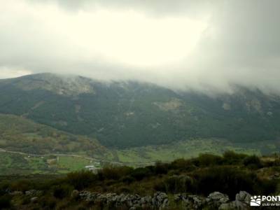 Las Machotas,Pico El Fraile-los Tres Ermitaños;graellsia calvitero bosque finlandes rascafria pinar 